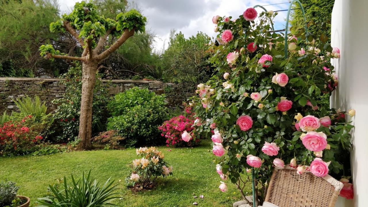 T1 Ou T2 Dans Villa Avec Jardin Proche Biarritz Anglet Exterior foto