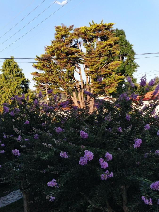 T1 Ou T2 Dans Villa Avec Jardin Proche Biarritz Anglet Exterior foto