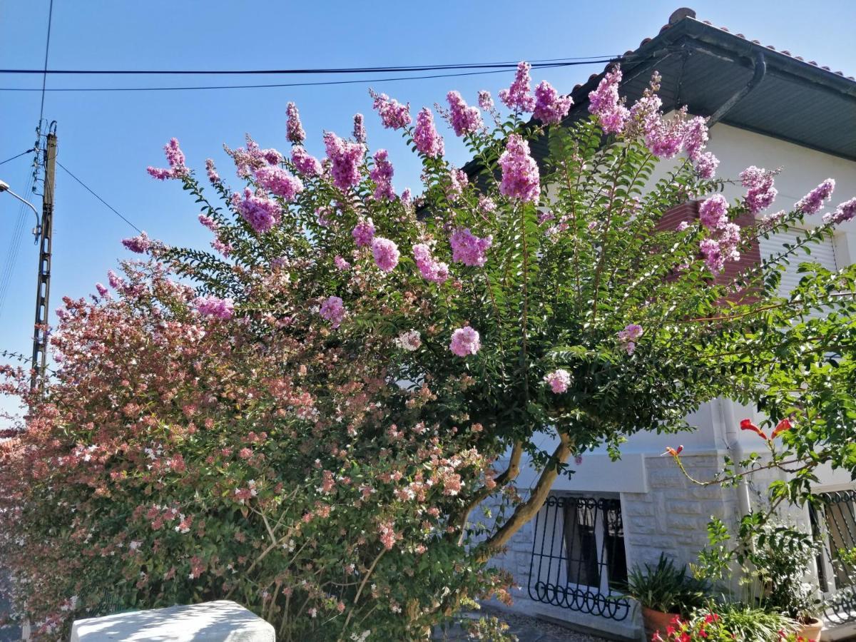 T1 Ou T2 Dans Villa Avec Jardin Proche Biarritz Anglet Exterior foto